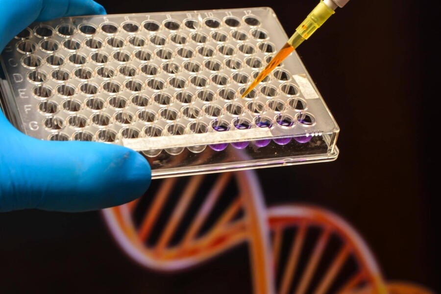 Jak sprawdzić swoje pochodzenie DNA i co można dzięki temu odkryć?