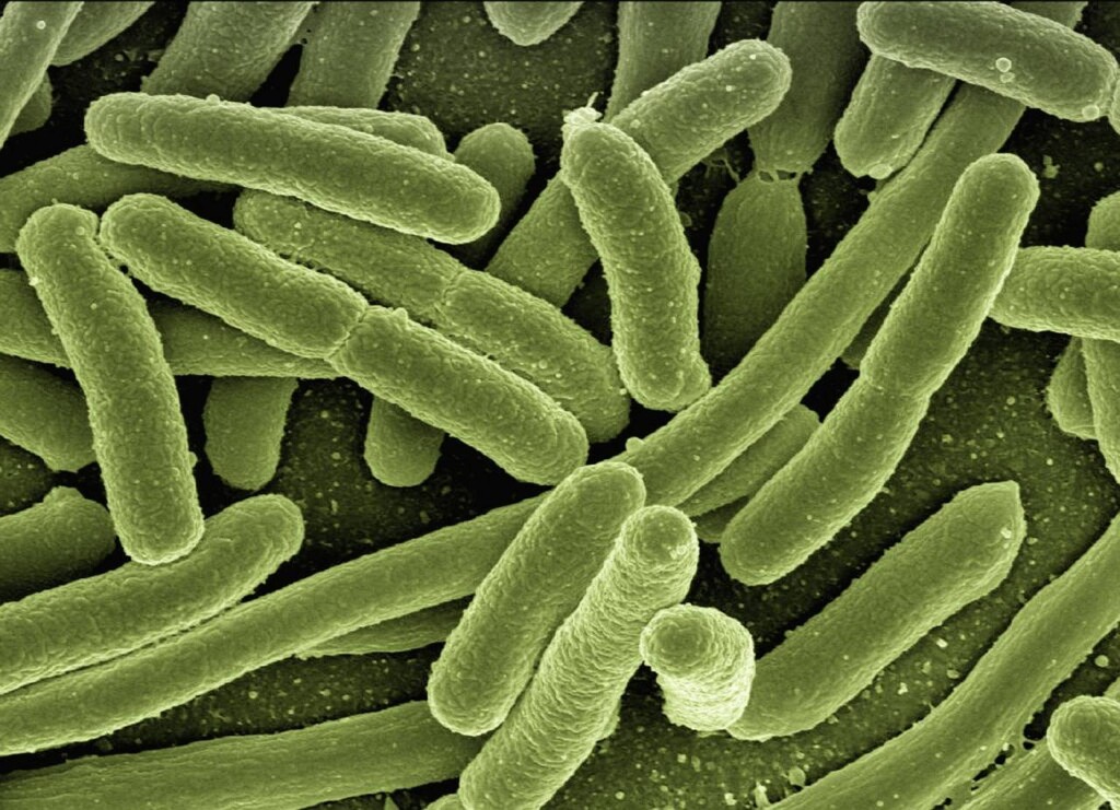Co to znaczy choroba immunologiczna i jak się objawia?
