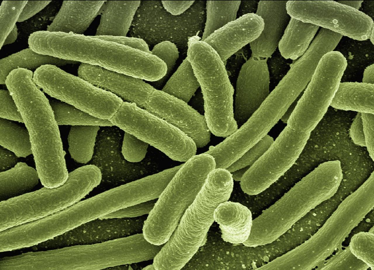 Co to znaczy choroba immunologiczna i jak się objawia?