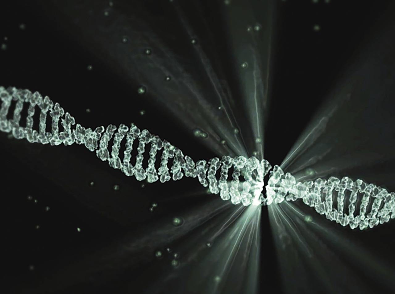 Ile kosztuje test DNA na pochodzenie etniczne?